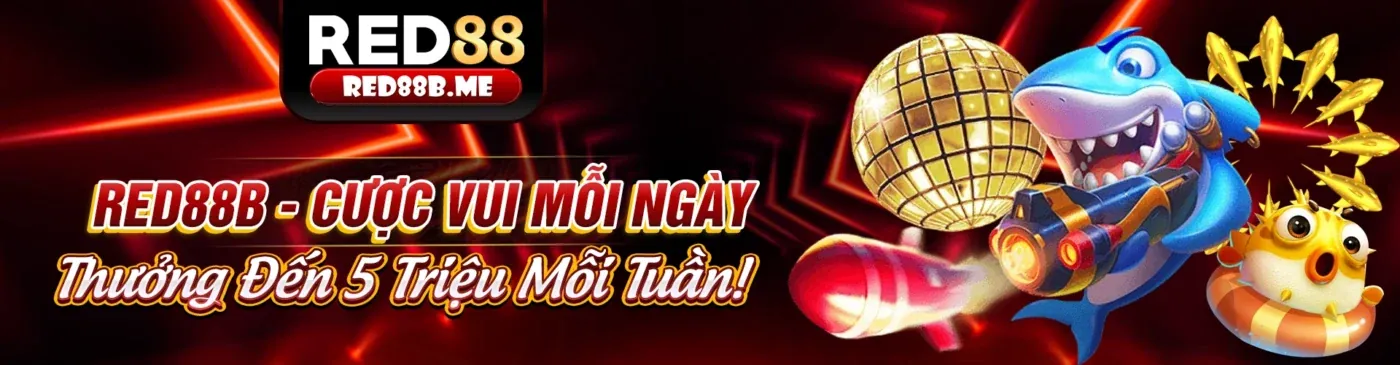 Hình ảnh một sàn đấu đá gà Thomo sôi động